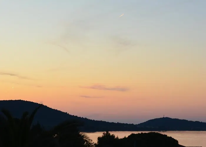 View فيلة *